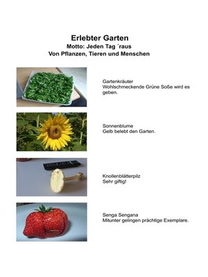 cover image of Erlebter Garten